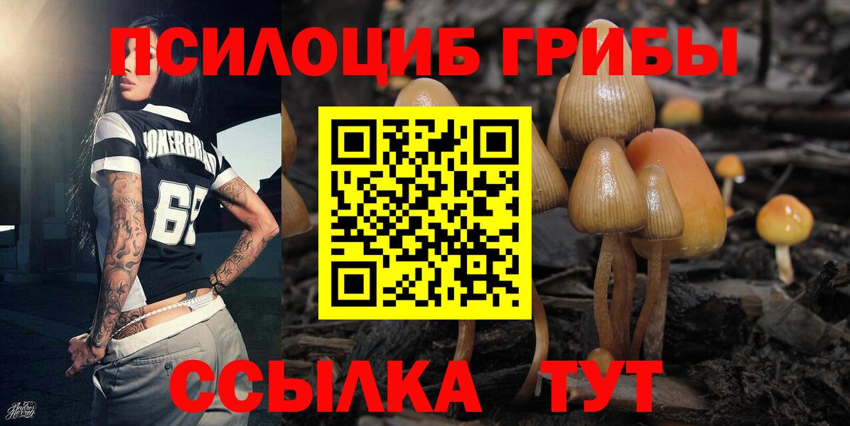Галлюциногенные грибы ЛСД  Галлюциногенные грибы GOLDEN TEACHER  Вход с VPN  Печора 